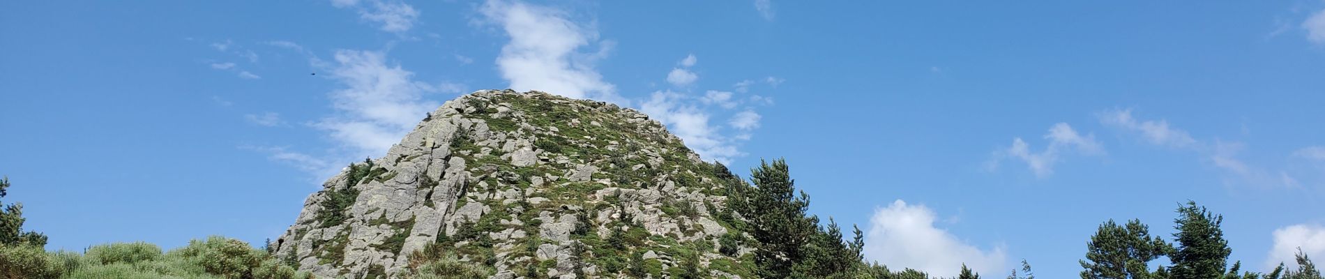 Trail Walking Saint-Martial - Le gerbier de jonc - Photo