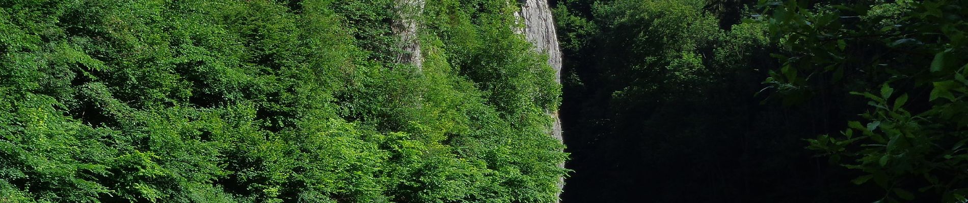 Randonnée A pied Bad Urach - DE-Gelbe Nebenlinie - Photo