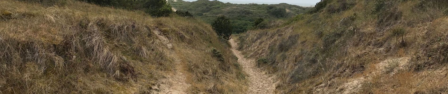 Randonnée Marche Le Touquet-Paris-Plage - Sortie touquet bois retour dunes - Photo