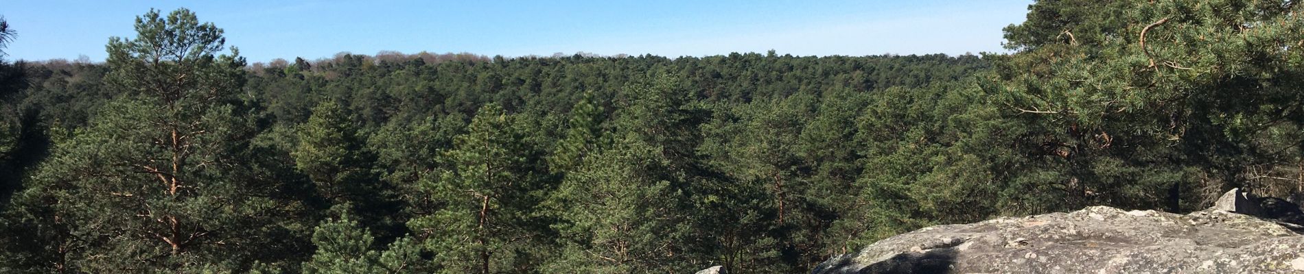 Excursión Senderismo Fontainebleau - Fontainebleau, Gorges du Houx et Gorges de Franchard - Photo