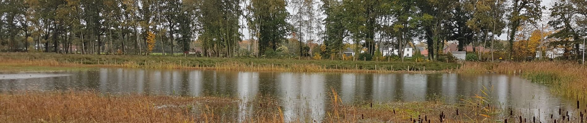 Randonnée Marche Diepenbeek - Diepenbeek - Photo