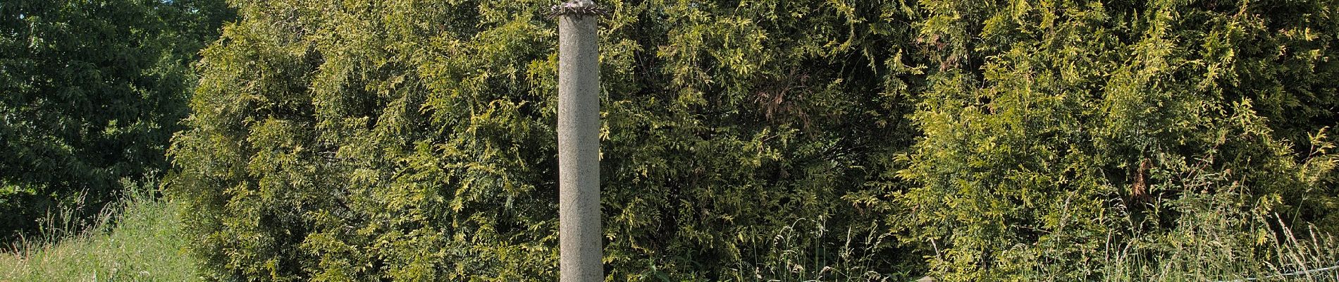 Tour Zu Fuß Saint-Jean-Bonnefonds - Ligne de Partage des Eaux - Photo