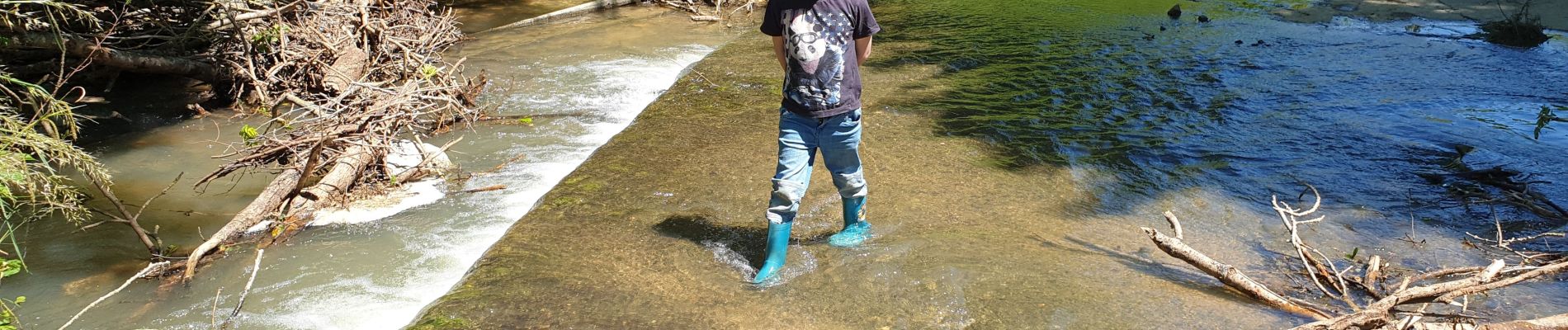 Excursión Senderismo Cassagnabère-Tournas - CASSAGNABERE MONDINE 31 avec Baptiste 6 ans - Photo