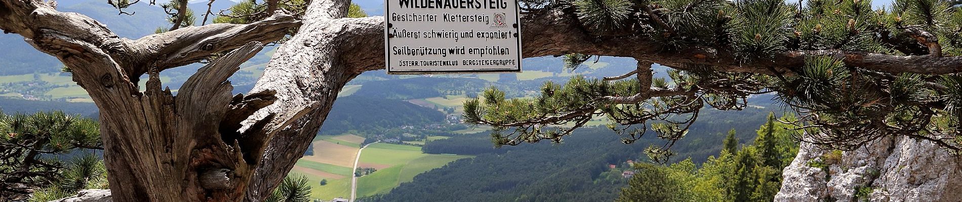 Randonnée A pied Gemeinde Höflein an der Hohen Wand - Puma-Runde - Photo