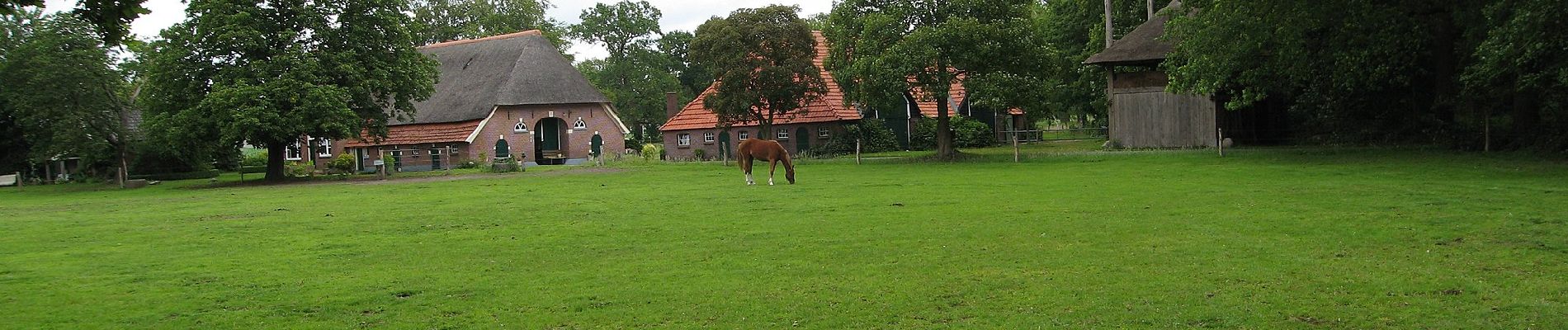 Randonnée A pied Hof van Twente - WNW Twente -Markelo - groene route - Photo