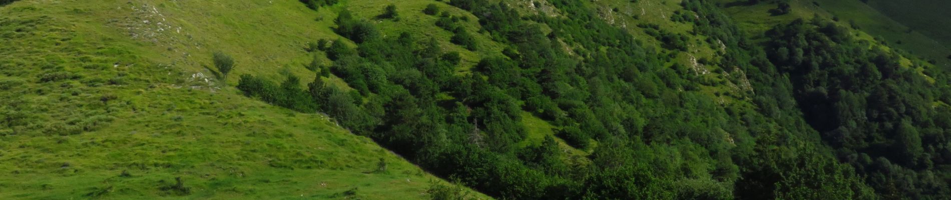 Tocht Stappen Breil-sur-Roya - Mangiabo - Photo