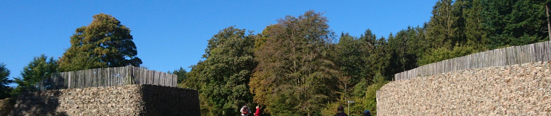 Tocht Stappen Saint-Léger-sous-Beuvray - 190920-Morvan-3 - Photo