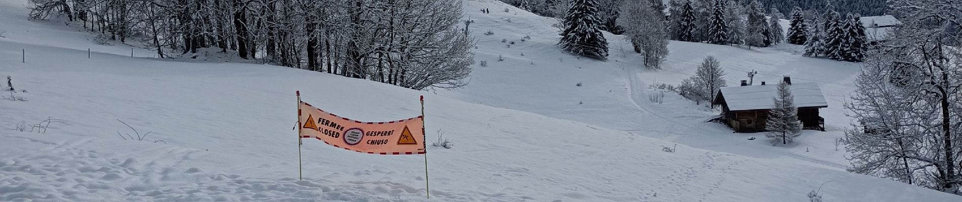 Tour Schneeschuhwandern Le Grand-Bornand - Le Balcon des Aravis - Photo