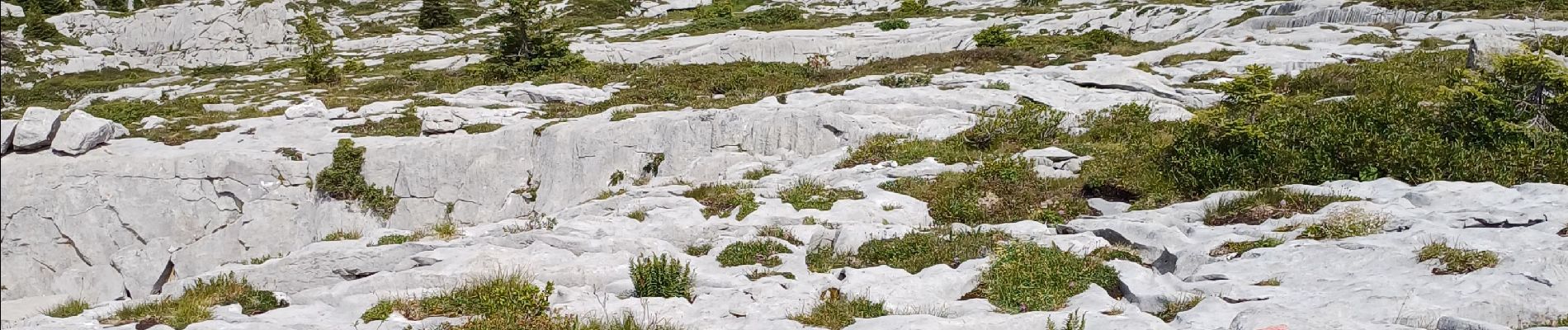 Randonnée Marche Magland - belvédère d Aulp - Photo