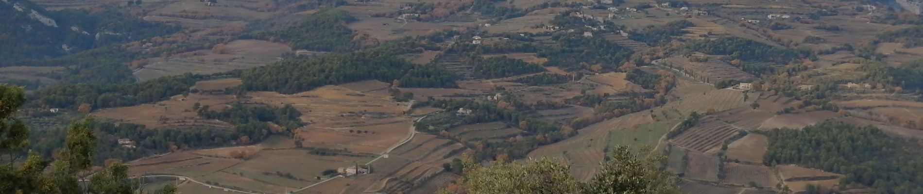 Tour Wandern Saint-Hippolyte-le-Graveyron - Le deves  - Photo