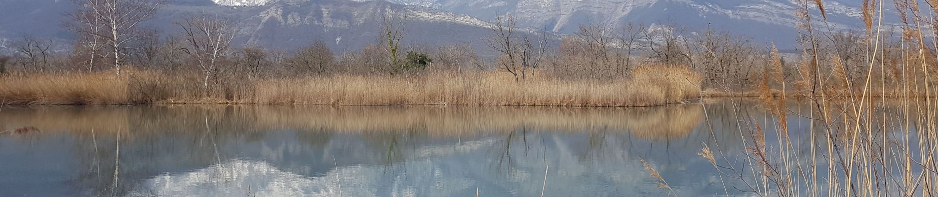 Randonnée Marche nordique Varces-Allières-et-Risset - De la plaine de  Reymure au canal de Malissolles - Photo