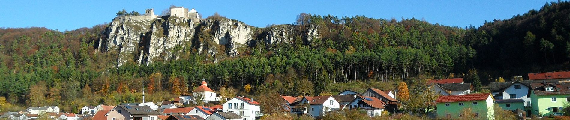 Excursión A pie Walting - Rundwanderweg Kipfenberg 5 - Photo