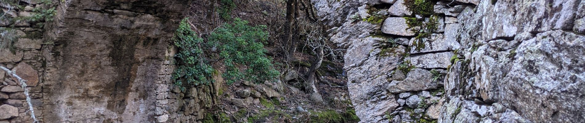 Randonnée Marche Corscia - Corscia par l’ancienne Scala, retour par les gorges de la Ruda - Photo