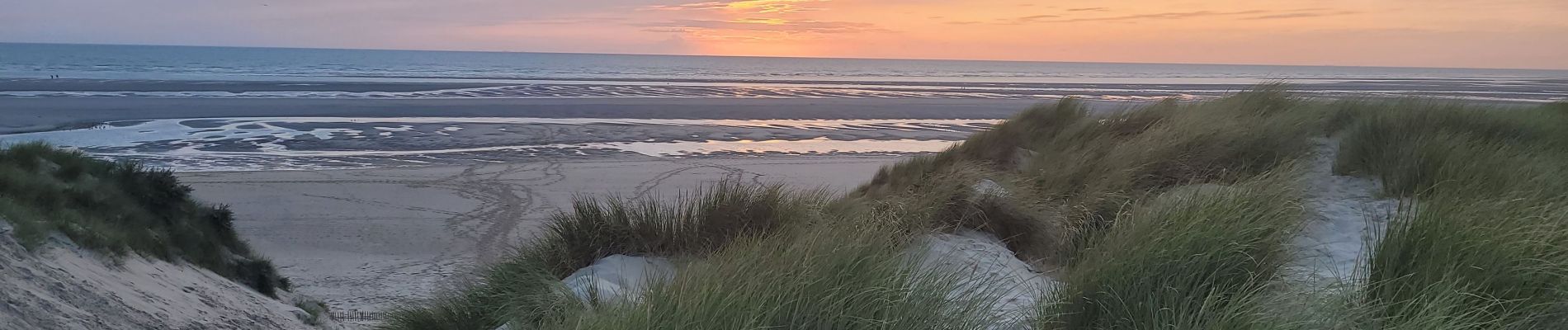 Excursión Senderismo Le Touquet-Paris-Plage - Balade dans la baie de Canche - Photo