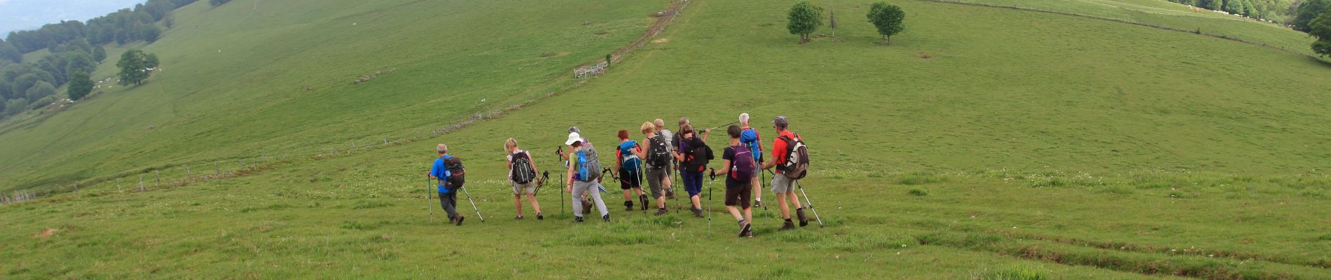 Tocht Stappen Masevaux-Niederbruck - Le ROOSBERG-1 - Photo