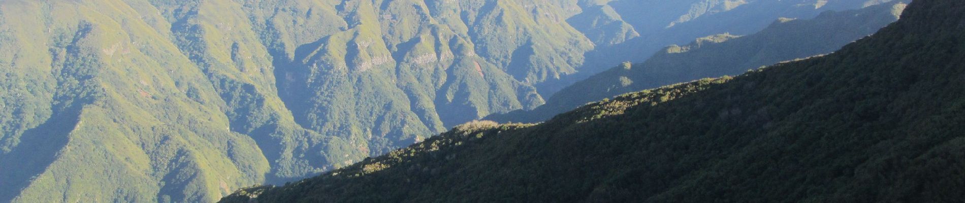 Trail On foot Calheta - Levada do Alecrim - Photo