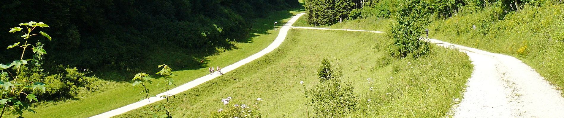 Tocht Te voet Gomadingen - Löwenpfade: Filsursprung-Runde - Photo