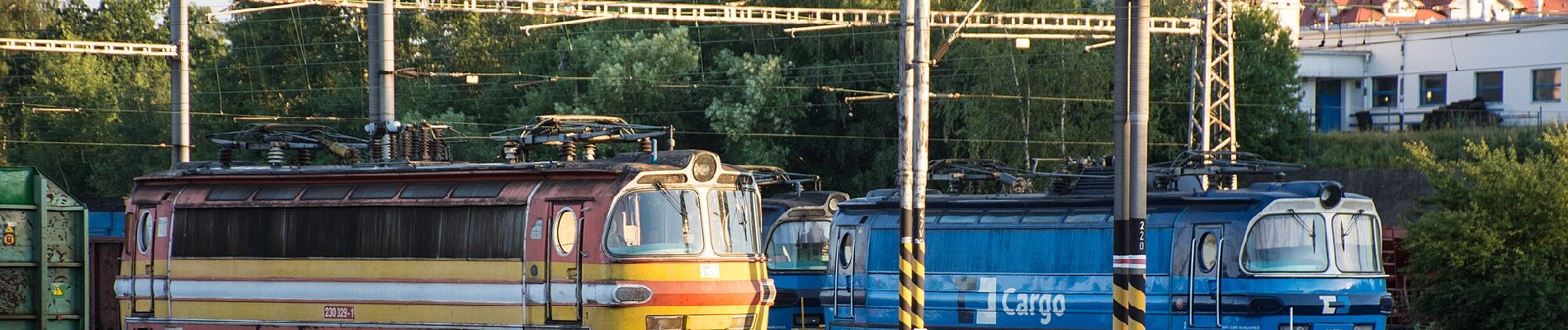 Excursión A pie Havlíčkův Brod - NS Bohuslava Reynka - Photo