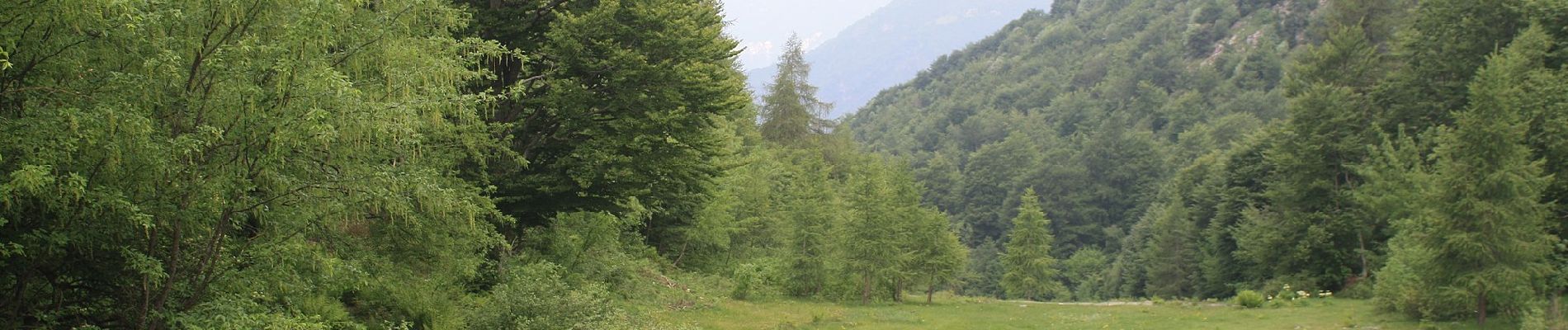 Percorso A piedi Esino Lario - Cainallo - Rifugio Bietti - Photo