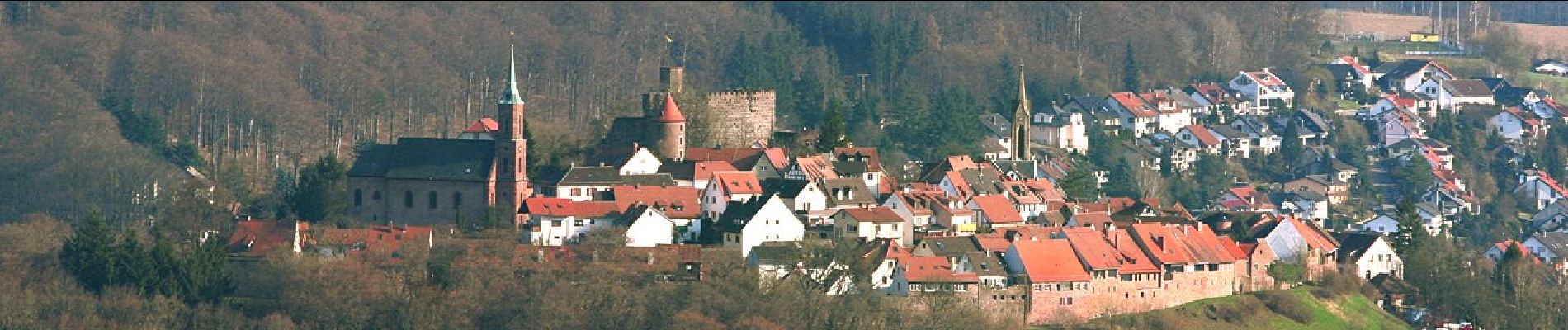 Percorso A piedi Neckarsteinach - Rundwanderweg Neckarsteinach Kaisereiche 10: Goetheblick-Weg - Photo