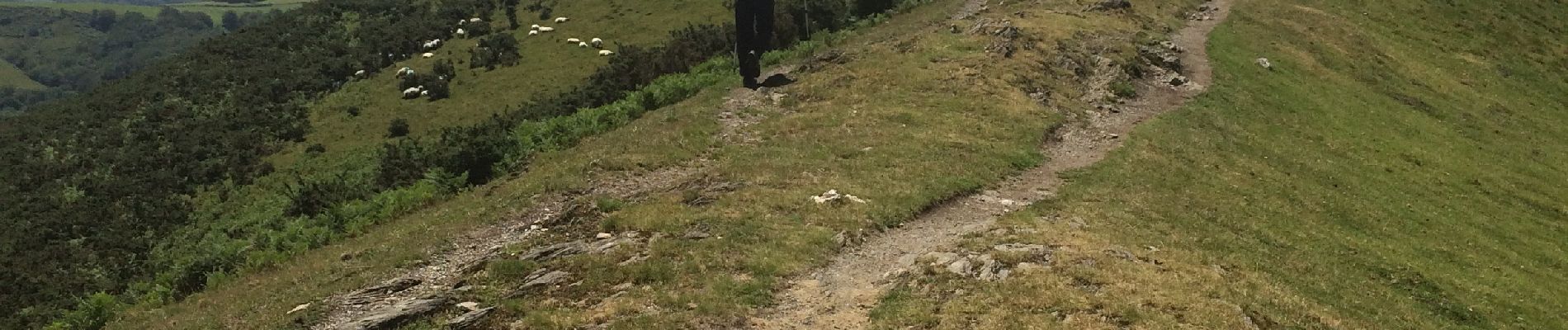 Randonnée Marche Espelette - Erreka mondarain col des veaux - Photo