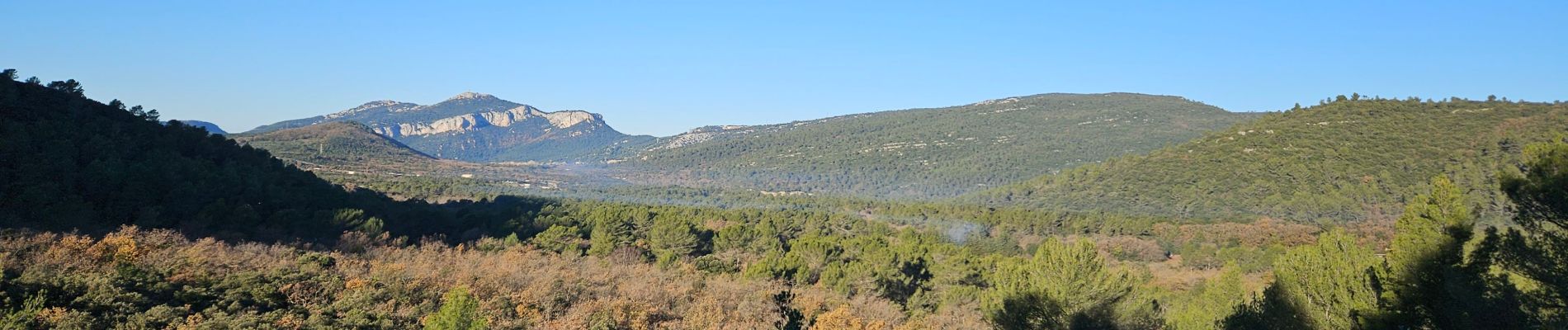 Excursión Senderismo La Farlède - Petit Coudon en partant de La Farlède - Photo