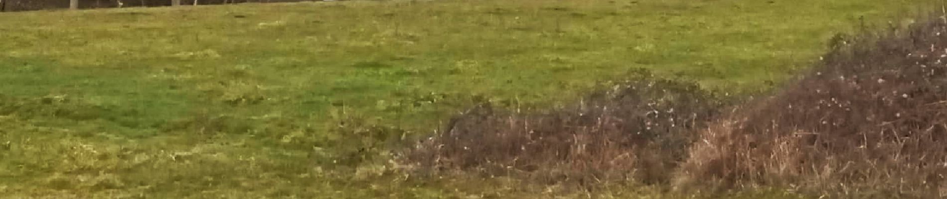 Punto di interesse Val d'Oingt - Moulin à huile de noix de Polluis sur le Vervuis - Photo