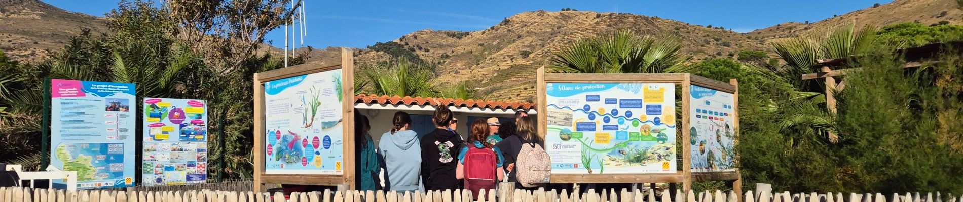 Excursión Senderismo Cerbère - Cerbère Pyrénées Orientales - Photo