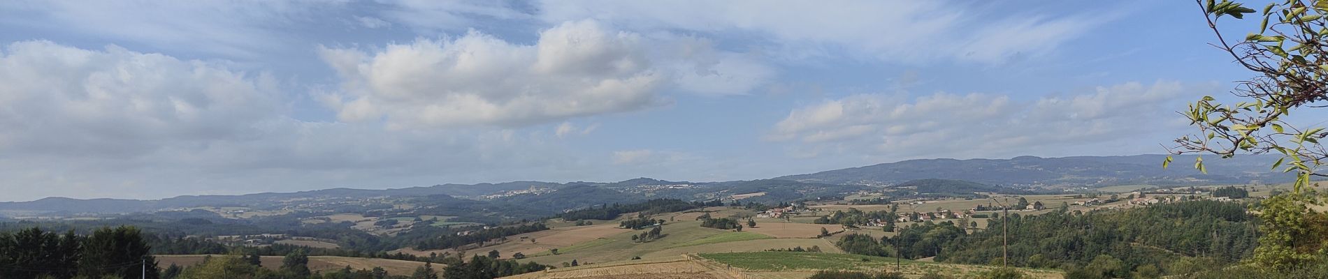 Randonnée Marche Périgneux - Marche de la Fanandrette - Photo