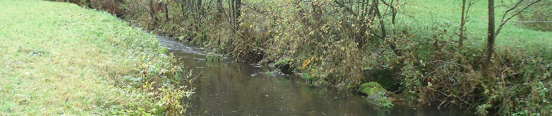 Randonnée A pied Kirchzell - Rundwanderweg Watterbach 1 - Photo