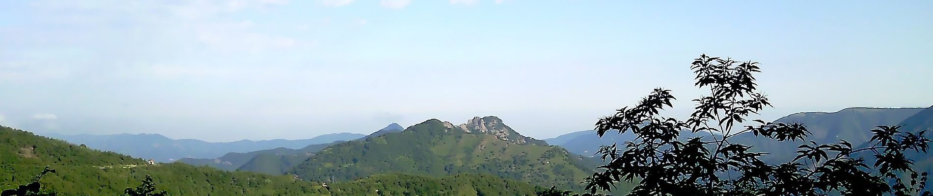 Excursión A pie Propata - Crocefieschi - Monte Antola - Photo