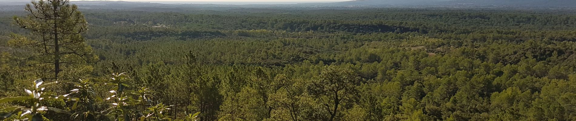 Randonnée Marche Bagnols-en-Forêt - BAGNOLS EN FORÊT - LES GORGES DU BLAVET - Photo