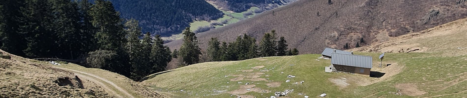 Excursión Senderismo Saint-Paul-d'Oueil - Cap de Salières & de la Coume de Mourdère 16.03.23 - Photo