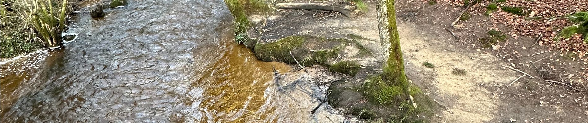 Randonnée A pied Rilhac-Rancon - De Rilhac à Payaud et Bramaud - Photo