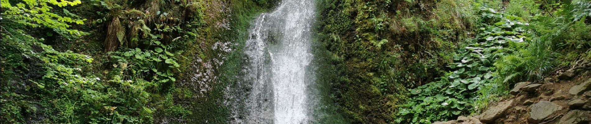 Trail Walking Chambon-sur-Lac - vallée de chaudefour et les cascades  - Photo