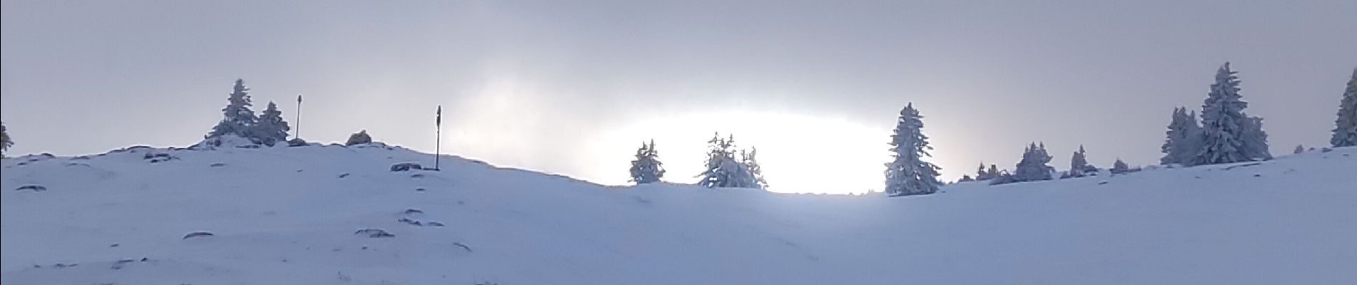 Excursión Raquetas de nieve Aillon-le-Jeune - Rando raquettes Bauges 1 - Photo