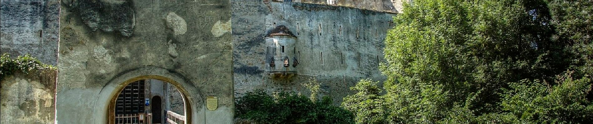 Randonnée A pied Gemeinde Seebenstein - Seebenstein - Weingart über Burg Seebenstein - Photo