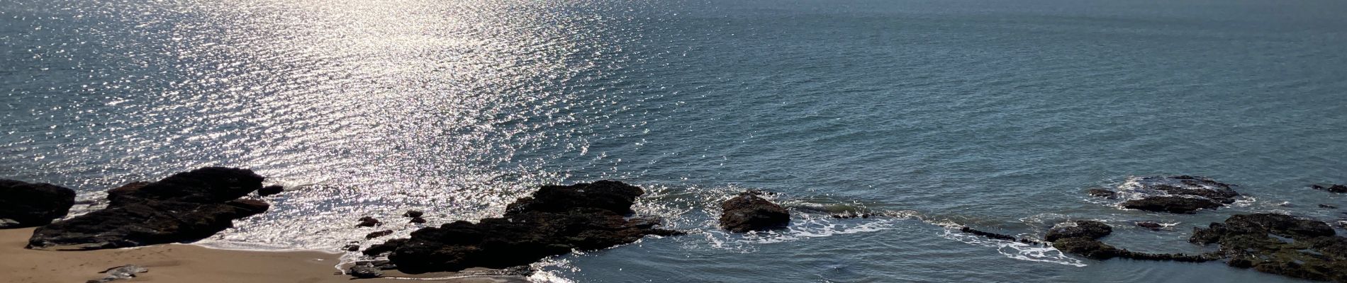 Excursión Senderismo La Plaine-sur-Mer - La plaine sur Mer - Pornic - Photo