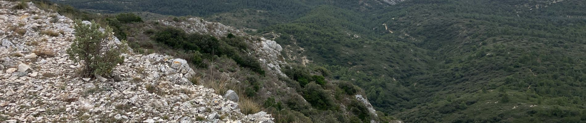 Randonnée Trail Cheval-Blanc - Les Buisses-Cantian (13k 530D+) - Photo