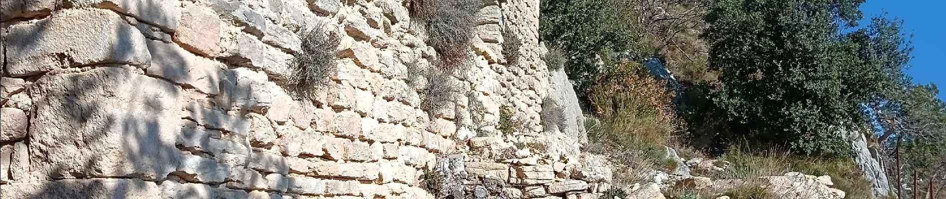 Tour Wandern Beaumes-de-Venise - notre dame d aubune - Photo