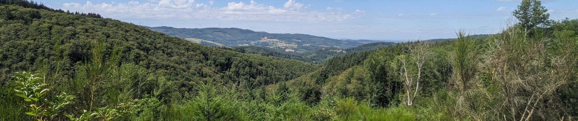 Randonnée Marche La Chabanne - périasse boucle 7 km - Photo