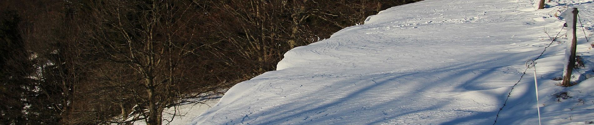 Tour Zu Fuß Gersfeld - Rhön-Rundweg 4 Wasserkuppe - Photo