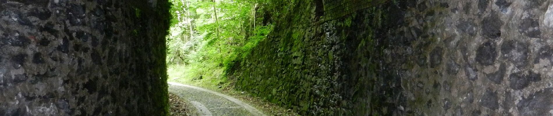 Trail On foot Genoa - Sestri Ponente - Santuario Madonna della Guardia - Photo