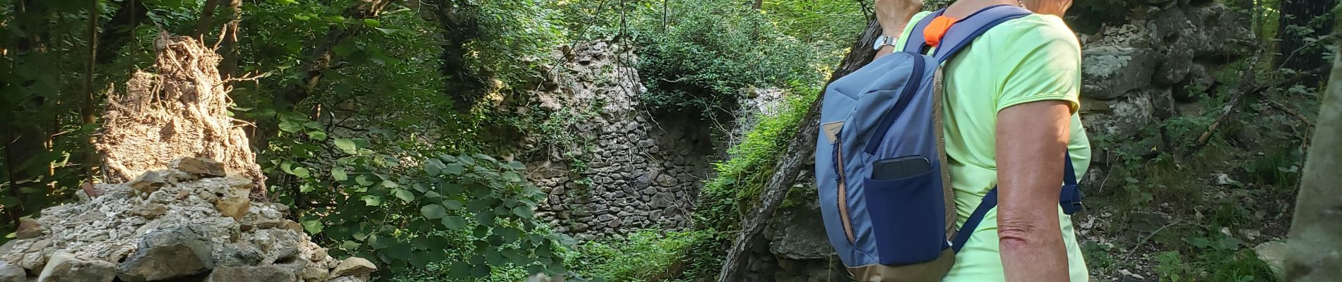 Tour Wandern Bagnols-en-Forêt - la Verrerie, le vieux moulin - Photo