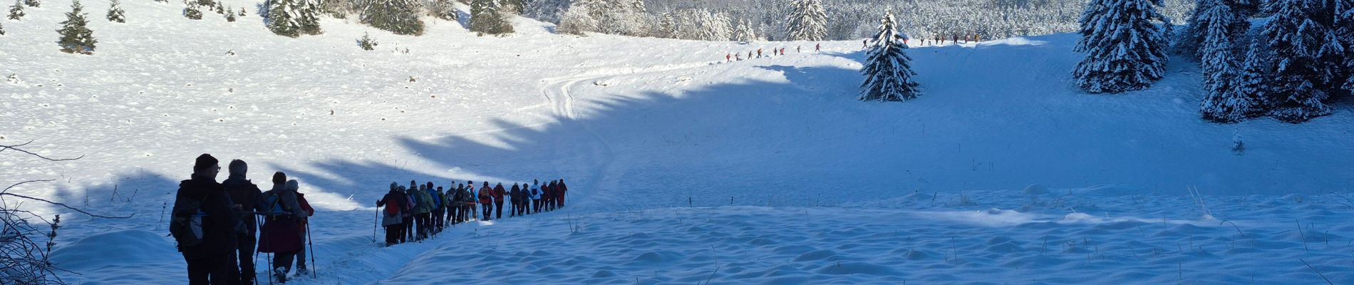 Randonnée Raquettes à neige Haut Valromey - la cua - Photo