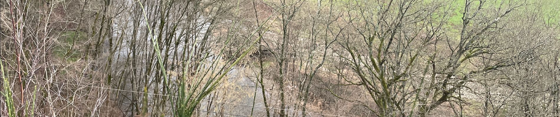 Randonnée Marche Stoumont - La gleize 14 Km - Photo