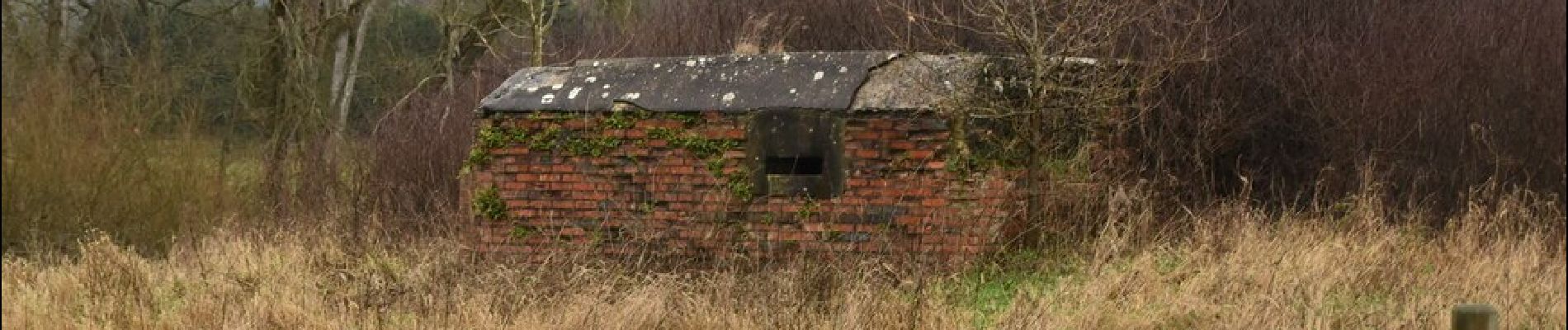 Excursión A pie Reigate and Banstead - Mills & Pillboxes walk (SCC) - Photo