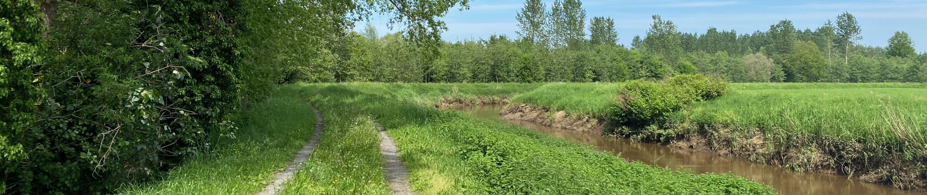 Randonnée Marche Aerschot - Le long du Démer de Langdorp à Testelt - Photo