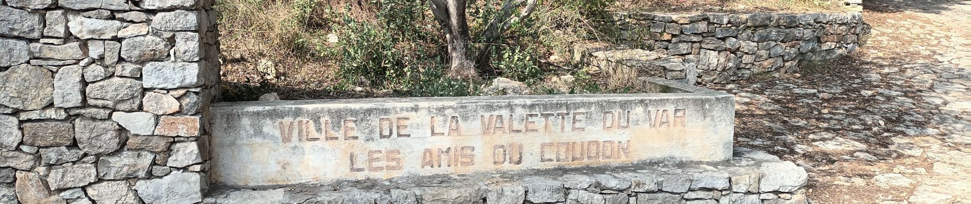 Tour Wandern La Valette-du-Var - Conservatoire de l'olivier-07-10-22  - Photo