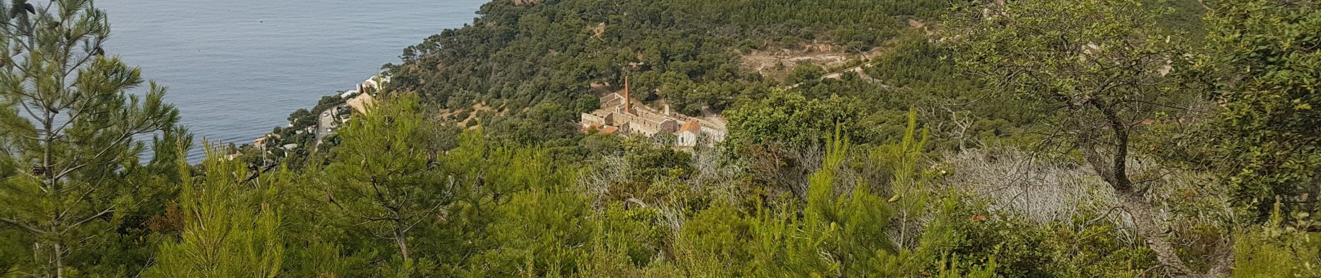 Excursión Senderismo Le Pradet - La Colle Noire - Photo